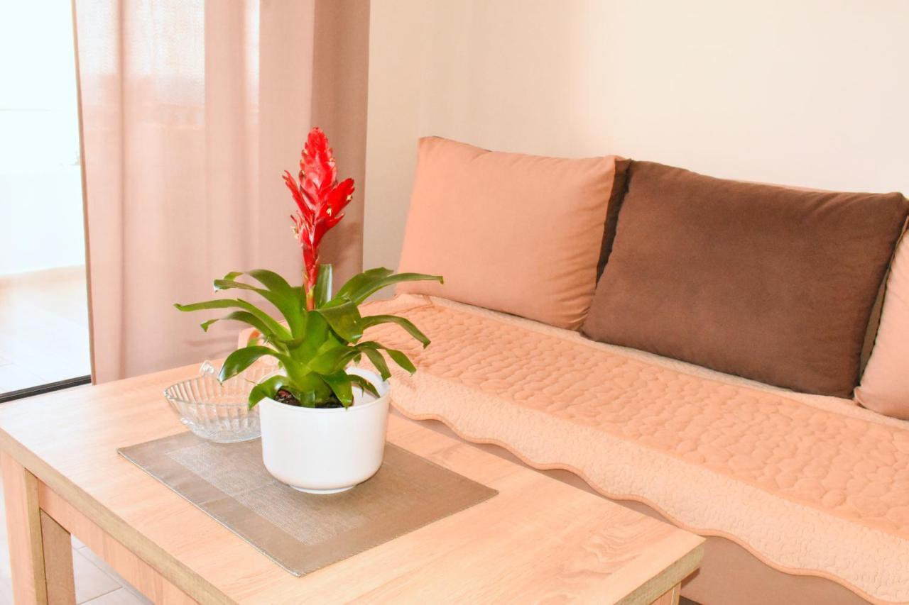 Studio Apartments Jupo Ulcinj Eksteriør billede